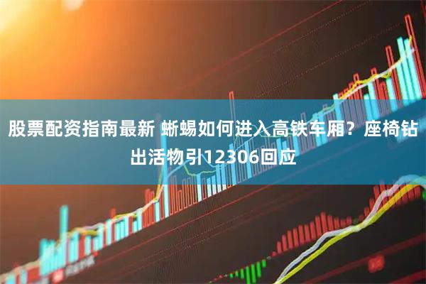 股票配资指南最新 蜥蜴如何进入高铁车厢？座椅钻出活物引12306回应